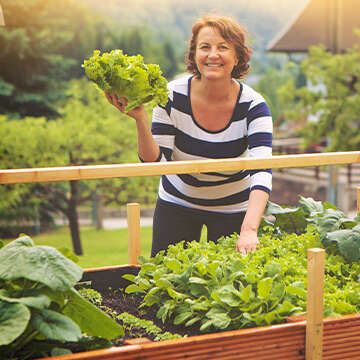 themenwelt hochbeet bubblenavi hochbeet fuer anfaenger 360x360